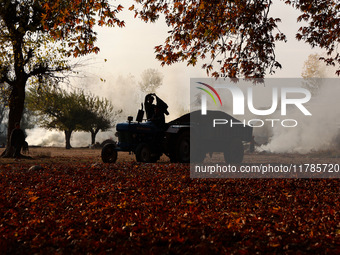 A person wears a jacket as he rides a tractor while women burn chirnar leaves to make charcoal during the autumn season in Sopore, Jammu and...