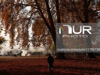 People walk on the fallen leaves of Chinar trees, which locals use to make charcoal for winter, in Sopore, Jammu and Kashmir, India, on Nove...