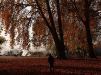 People walk on the fallen leaves of Chinar trees, which locals use to make charcoal for winter, in Sopore, Jammu and Kashmir, India, on Nove...