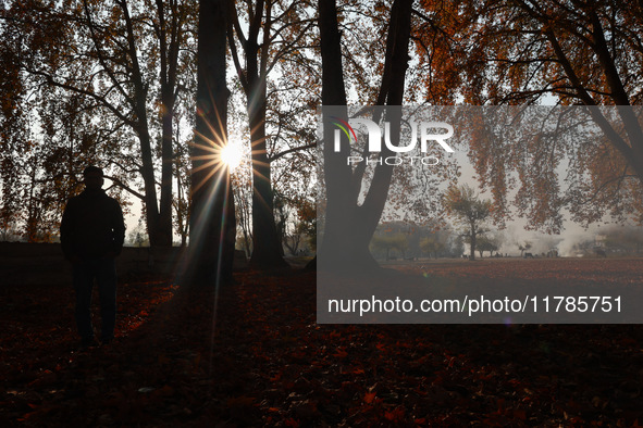 People walk on the fallen leaves of Chinar trees, which locals use to make charcoal for winter, in Sopore, Jammu and Kashmir, India, on Nove...