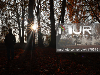 People walk on the fallen leaves of Chinar trees, which locals use to make charcoal for winter, in Sopore, Jammu and Kashmir, India, on Nove...