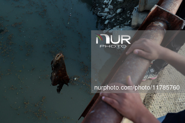 A boy retrieves a polythene bag after casting his fishing rod to catch fish in Wular Lake in Sopore, Jammu and Kashmir, India, on November 1...