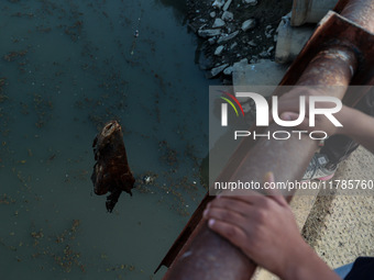 A boy retrieves a polythene bag after casting his fishing rod to catch fish in Wular Lake in Sopore, Jammu and Kashmir, India, on November 1...