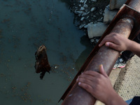 A boy retrieves a polythene bag after casting his fishing rod to catch fish in Wular Lake in Sopore, Jammu and Kashmir, India, on November 1...