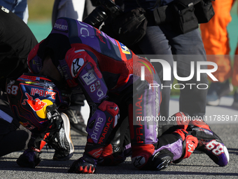 Jorge Martin (89) of Spain and Prima Pramac Racing Ducati celebrates the victory as World Champions of MotoGP after the race of the Motul So...