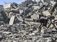 A view of damaged buildings in the Al Hadath neighborhood after an Israeli airstrike in the Dahieh region of Beirut, Lebanon, on November 17...