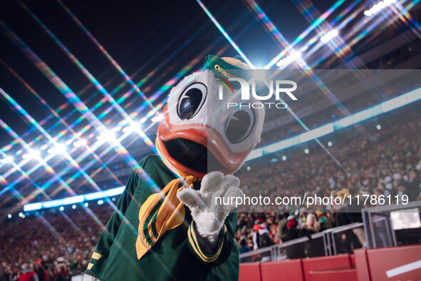 The Oregon Duck is at Camp Randall Stadium as the Wisconsin Badgers take on the Oregon Ducks in Madison, Wisconsin, on November 16, 2024. 