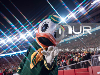 The Oregon Duck is at Camp Randall Stadium as the Wisconsin Badgers take on the Oregon Ducks in Madison, Wisconsin, on November 16, 2024. (