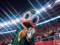 The Oregon Duck is at Camp Randall Stadium as the Wisconsin Badgers take on the Oregon Ducks in Madison, Wisconsin, on November 16, 2024. (