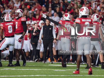 Wisconsin Badgers cornerback Xavier Lucas #10 signals a turnover against The Oregon Ducks at Camp Randall Stadium in Madison, Wisconsin, on...