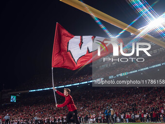 The Wisconsin Badgers play against the Oregon Ducks at Camp Randall Stadium in Madison, Wisconsin, on November 16, 2024. (