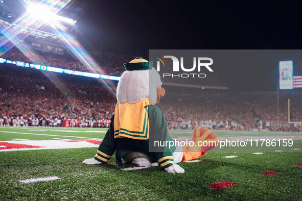 The Oregon Duck takes in the views at Camp Randall Stadium in Madison, Wisconsin, on November 16, 2024, against the Wisconsin Badgers. 