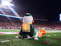 The Oregon Duck takes in the views at Camp Randall Stadium in Madison, Wisconsin, on November 16, 2024, against the Wisconsin Badgers. (