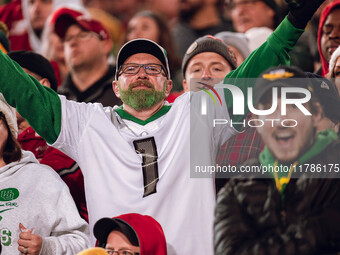 The Wisconsin Badgers play against the Oregon Ducks at Camp Randall Stadium in Madison, Wisconsin, on November 16, 2024. (