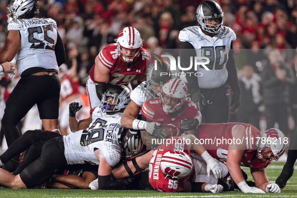 Wisconsin Badgers running back Tawee Walker #3 looks towards the 4th down marker against the Oregon Ducks defense at Camp Randall Stadium in...