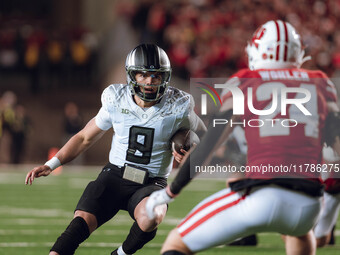 Oregon quarterback Dillon Gabriel #8 scrambles against the Wisconsin Badgers at Camp Randall Stadium in Madison, Wisconsin, on November 16,...