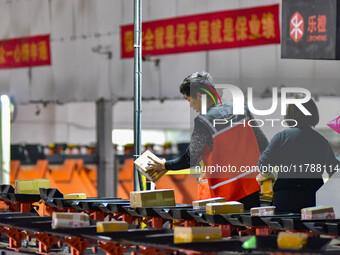 Workers sort parcels at an express logistics company in Qingzhou, China, on November 11, 2024. Monitoring data from the State Post Bureau sh...