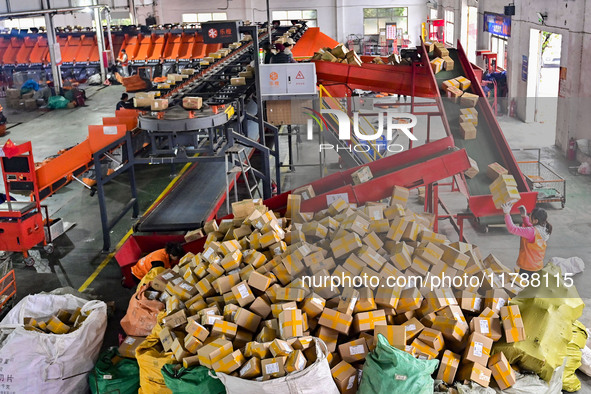 Workers sort parcels at an express logistics company in Qingzhou, China, on November 11, 2024. Monitoring data from the State Post Bureau sh...