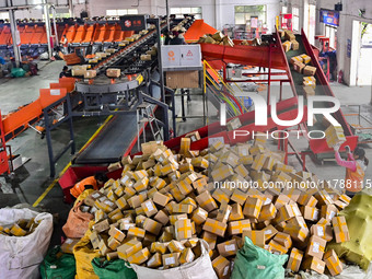 Workers sort parcels at an express logistics company in Qingzhou, China, on November 11, 2024. Monitoring data from the State Post Bureau sh...