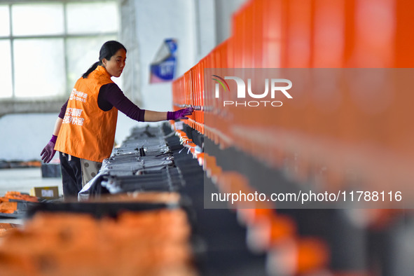 Workers sort parcels at an express logistics company in Qingzhou, China, on November 11, 2024. Monitoring data from the State Post Bureau sh...