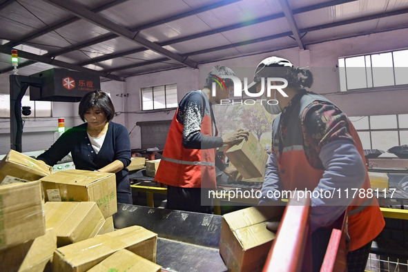 Workers sort parcels at an express logistics company in Qingzhou, China, on November 11, 2024. Monitoring data from the State Post Bureau sh...