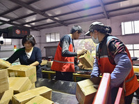 Workers sort parcels at an express logistics company in Qingzhou, China, on November 11, 2024. Monitoring data from the State Post Bureau sh...