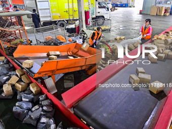 Workers sort parcels at an express logistics company in Qingzhou, China, on November 11, 2024. Monitoring data from the State Post Bureau sh...