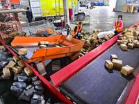 Workers sort parcels at an express logistics company in Qingzhou, China, on November 11, 2024. Monitoring data from the State Post Bureau sh...