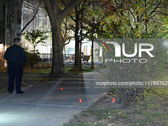 A 28-year-old man is shot in the leg at 345 Livonia Avenue in the Brownsville section of Brooklyn, New York, United States, on November 17,...