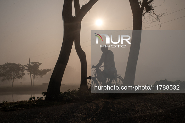 A farmer rides a bicycle to his workplace during a light foggy morning in Gouripur, Mymensingh, Bangladesh, on November 18, 2024. 