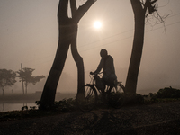 A farmer rides a bicycle to his workplace during a light foggy morning in Gouripur, Mymensingh, Bangladesh, on November 18, 2024. (