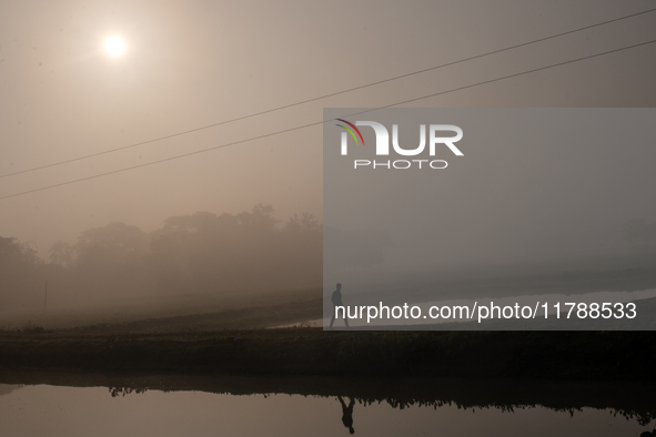 A farmer goes to his workplace during a light foggy morning in Gouripur, Mymensingh, Bangladesh, on November 18, 2024. 