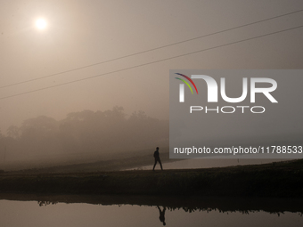 A farmer goes to his workplace during a light foggy morning in Gouripur, Mymensingh, Bangladesh, on November 18, 2024. (