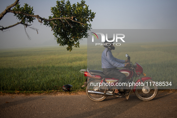 A farmer rides a bicycle to his workplace during a light foggy morning in Gouripur, Mymensingh, Bangladesh, on November 18, 2024. 