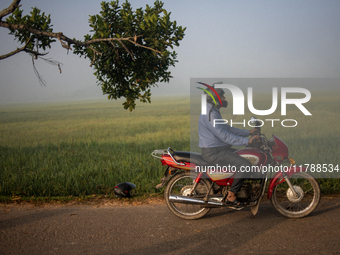 A farmer rides a bicycle to his workplace during a light foggy morning in Gouripur, Mymensingh, Bangladesh, on November 18, 2024. (