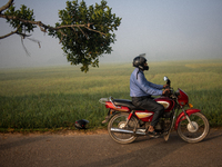 A farmer rides a bicycle to his workplace during a light foggy morning in Gouripur, Mymensingh, Bangladesh, on November 18, 2024. (