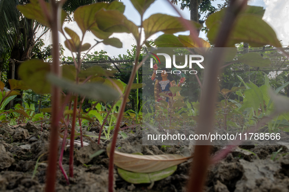 A clay idol of Kartik is on a vegetable farming field in Nandail, Mymensingh, Bangladesh, on November 18, 2024. In regional folklore, Kartik...