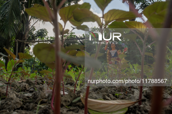 A clay idol of Kartik is on a vegetable farming field in Nandail, Mymensingh, Bangladesh, on November 18, 2024. In regional folklore, Kartik...