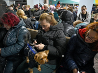 In Kyiv, Ukraine, on November 17, 2024, people with pets stay in a bomb shelter during an air alert caused by a large-scale Russian missile...