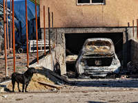 A burnt-out car is in a garage in a house damaged by a large-scale Russian missile strike in Odesa region, Ukraine, on November 17, 2024. In...