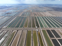 An aerial view of a salt field in Cangzhou, China, on November 18, 2024. (