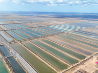 An aerial view of a salt field in Cangzhou, China, on November 18, 2024. (