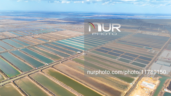 An aerial view of a salt field in Cangzhou, China, on November 18, 2024. 