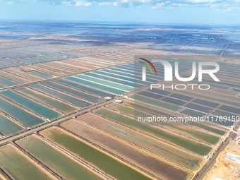 An aerial view of a salt field in Cangzhou, China, on November 18, 2024. (