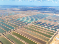 An aerial view of a salt field in Cangzhou, China, on November 18, 2024. (