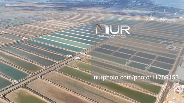 An aerial view of a salt field in Cangzhou, China, on November 18, 2024. 