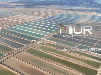 An aerial view of a salt field in Cangzhou, China, on November 18, 2024. (