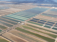 An aerial view of a salt field in Cangzhou, China, on November 18, 2024. (