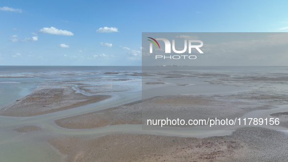 An aerial view of a salt field in Cangzhou, China, on November 18, 2024. 