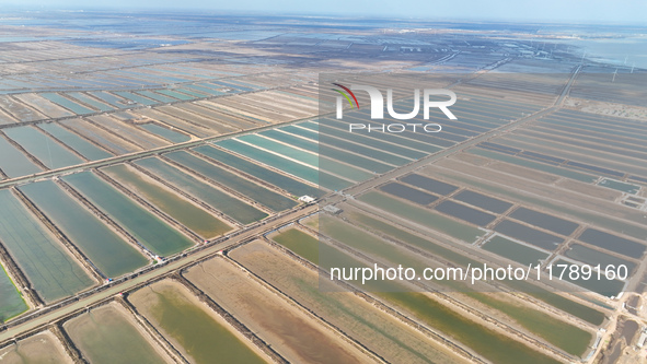 An aerial view of a salt field in Cangzhou, China, on November 18, 2024. 